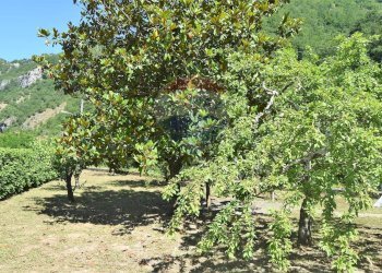Giardino - Apartment LOCALITA' GIARDINETTO, Bagni di Lucca - photo 7
