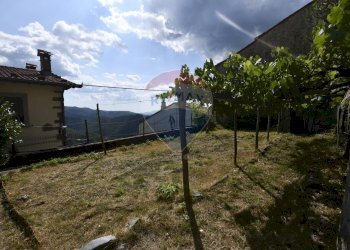 Vista delle montagne - Casa semi indipendente Bagni di Lucca - foto 23