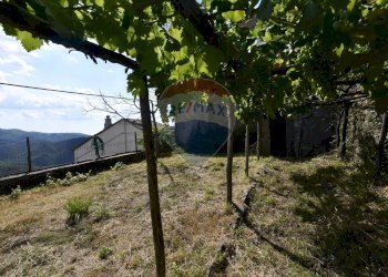 Giardino - Casa semi indipendente Bagni di Lucca - foto 24