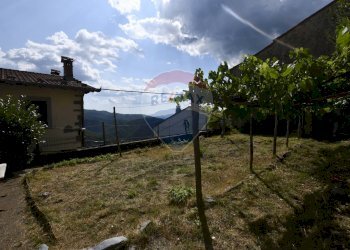 Giardino - Casa semi indipendente Bagni di Lucca - foto 25