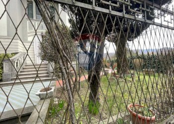 Giardino - Villa Castelnuovo di Garfagnana - foto 4