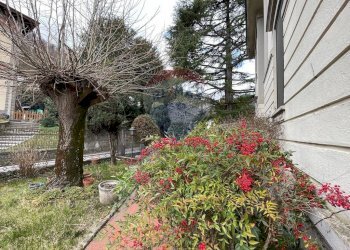 Giardino - Villa Castelnuovo di Garfagnana - foto 7