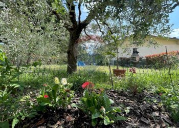 Giardino - Appartamento Borgo a Mozzano - foto 32