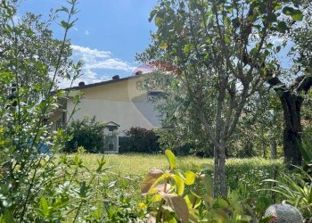 Giardino - Appartamento Borgo a Mozzano - foto 33