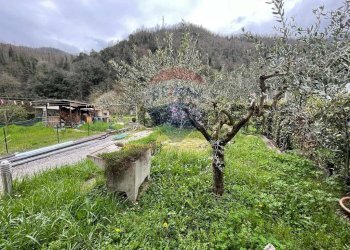 Giardino - Appartamento FABBRICHE DI CASABASCIANA Via Fabbriche
 
48, Bagni di Lucca - foto 28