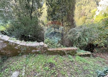 Giardino - Villa Bagni di Lucca - foto 20