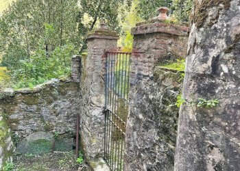 Giardino - Villa Bagni di Lucca - foto 21