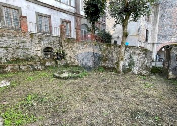 Giardino - Villa Bagni di Lucca - foto 23