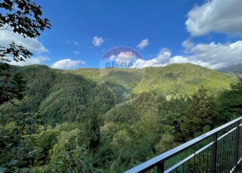 Vista delle montagne - Casa indipendente Via di Castello
 
22/24, Coreglia Antelminelli - foto 46