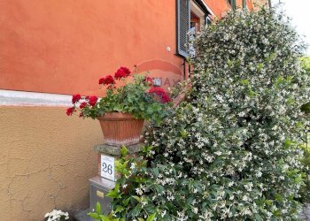 Giardino - Casa indipendente VIA G. TOVANI, Bagni di Lucca - foto 36