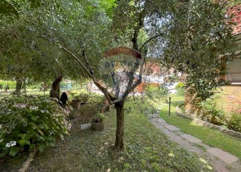 Giardino - Casa indipendente VIA G. TOVANI, Bagni di Lucca - foto 47