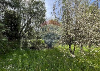 Giardino - Appartamento LOCALITA'  MANCIANA
 
2, Coreglia Antelminelli - foto 19