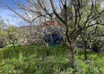 Giardino - Appartamento LOCALITA'  MANCIANA
 
2, Coreglia Antelminelli - foto 22