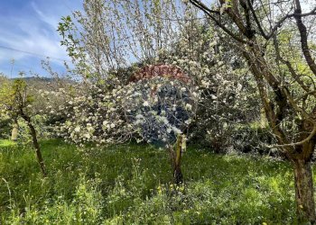 Giardino - Appartamento LOCALITA'  MANCIANA
 
2, Coreglia Antelminelli - foto 28