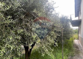 Giardino - Villa via Rotatoria per Cocciglia, Bagni di Lucca - foto 45