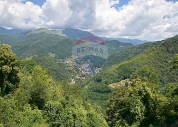 Vista delle montagne - Casa semi indipendente Bagni di Lucca - foto 23