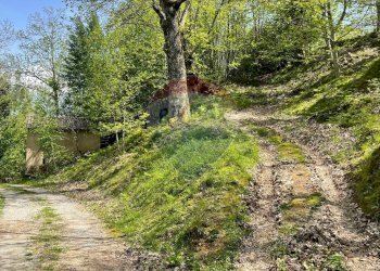 Giardino - Appartamento Via del Monte
 
4, Gallicano - foto 50