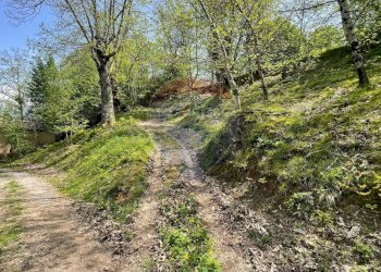 Giardino - Appartamento Via del Monte
 
4, Gallicano - foto 51