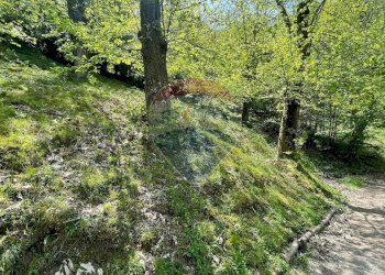 Giardino - Appartamento Via del Monte
 
4, Gallicano - foto 59