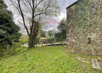 Giardino - Casa semi indipendente LOC. LIVIZZANO
 
64, Bagni di Lucca - foto 31