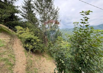 Giardino - Casa semi indipendente CRASCIANA VIA RICAVO
 
1, Bagni di Lucca - foto 15