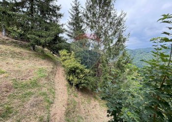 Giardino - Casa semi indipendente CRASCIANA VIA RICAVO
 
1, Bagni di Lucca - foto 19