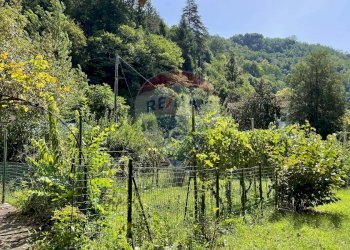 Giardino - Appartamento Bagni di Lucca - foto 31