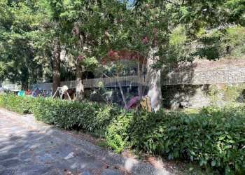 Giardino - Appartamento Bagni di Lucca - foto 103