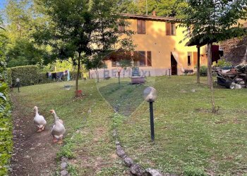 Giardino - Villa Barga - foto 7