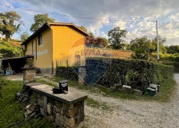 Giardino - Villa Barga - foto 12