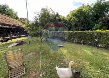 Giardino - Villa Barga - foto 20