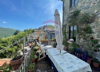 Terrazza - Casa semi indipendente Coreglia Antelminelli - foto 40