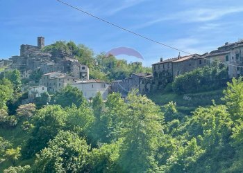 Vista delle montagne - Casa semi indipendente Coreglia Antelminelli - foto 46
