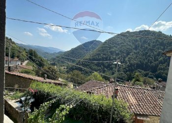 Vista delle montagne - Casa semi indipendente Pescaglia - foto 28