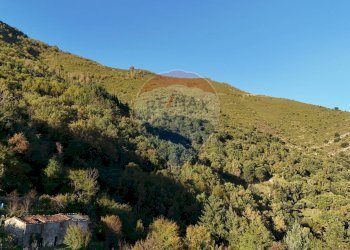 Vista delle montagne - Villa Bagni di Lucca - foto 51