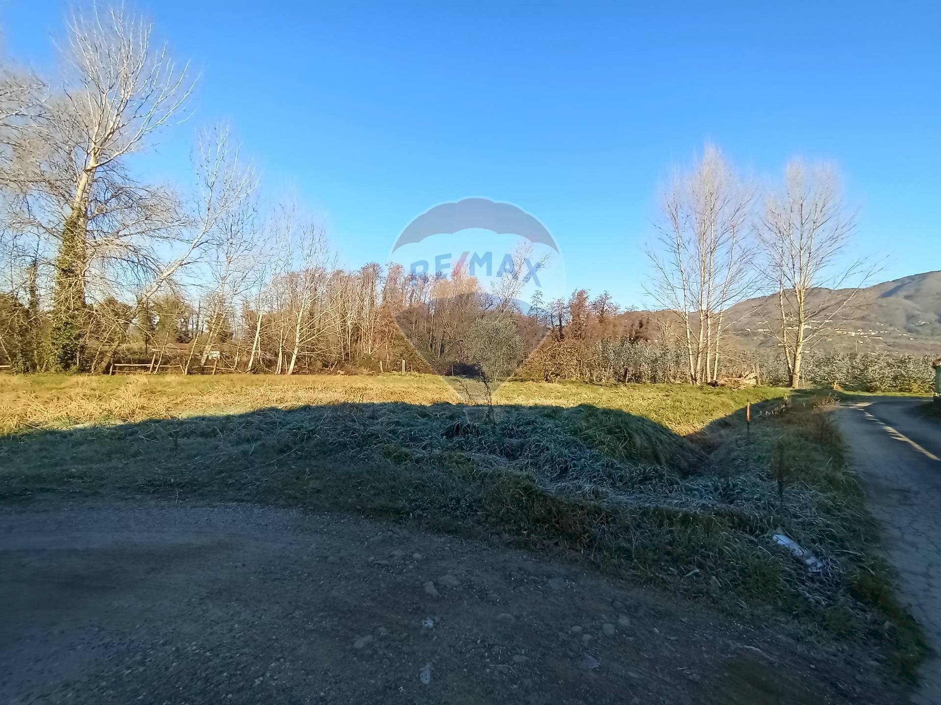 Giardino - Shed Capannori - photo 3