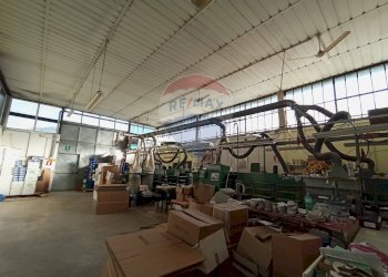 Palestra - Capannone Capannori - foto 2