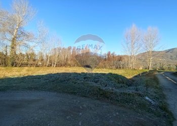 Giardino - Capannone Capannori - foto 3