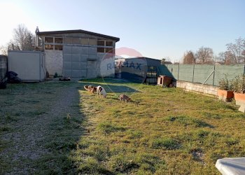 Giardino - Capannone Capannori - foto 7