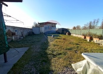 Giardino - Capannone Capannori - foto 8