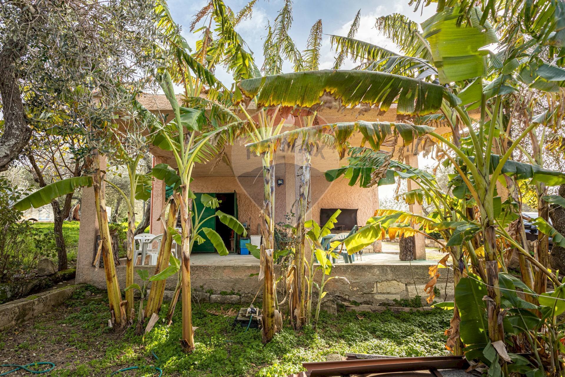 Giardino - Casa indipendente S. V. Li Curuneddi Tronco A, Sassari - foto 2