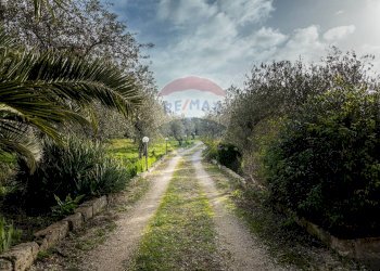 Giardino - Casa indipendente S. V. Li Curuneddi Tronco A, Sassari - foto 23