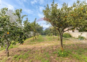 Giardino - Casa indipendente S. V. Li Curuneddi Tronco A, Sassari - foto 25