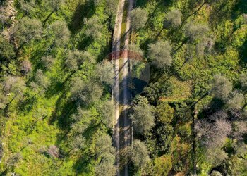 Vista delle montagne - Casa indipendente S. V. Li Curuneddi Tronco A, Sassari - foto 31