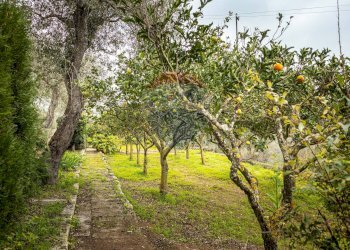 Giardino - Casa indipendente S. V. Li Curuneddi Tronco A, Sassari - foto 53