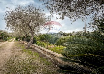 Giardino - Casa indipendente S. V. Li Curuneddi Tronco A, Sassari - foto 55