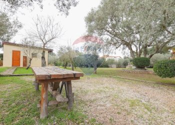 Giardino - Casa indipendente Via dei Pini
 
37, Sassari - foto 23