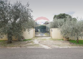 Giardino - Casa indipendente Via dei Pini
 
37, Sassari - foto 50