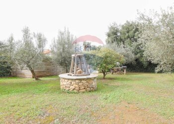 Giardino - Casa indipendente Via dei Pini
 
37, Sassari - foto 53