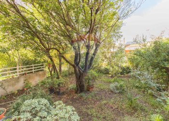 Giardino - Villa a Schiera Via Rodolfo Morandi
 
2F, Sassari - foto 39